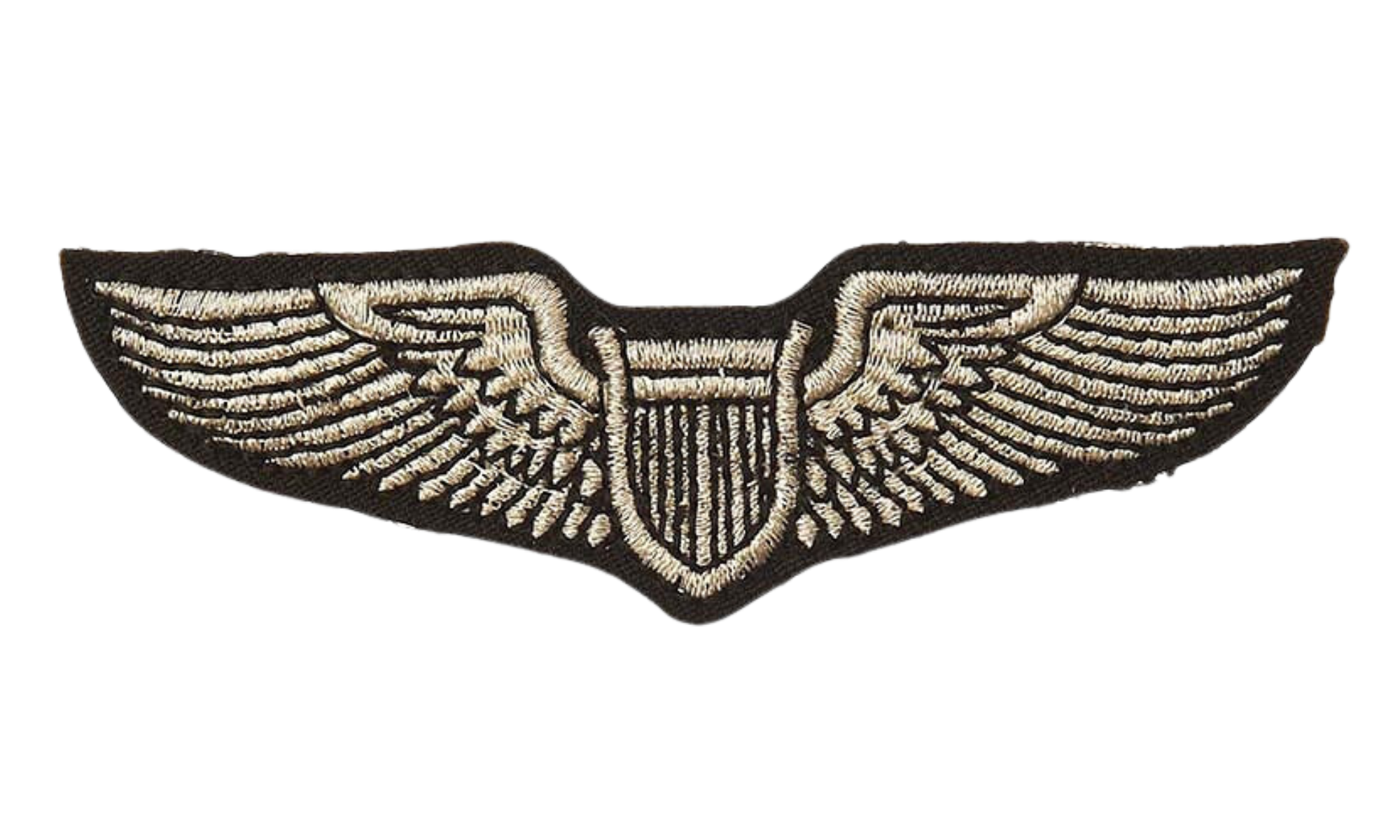 USAF Pilot Patch